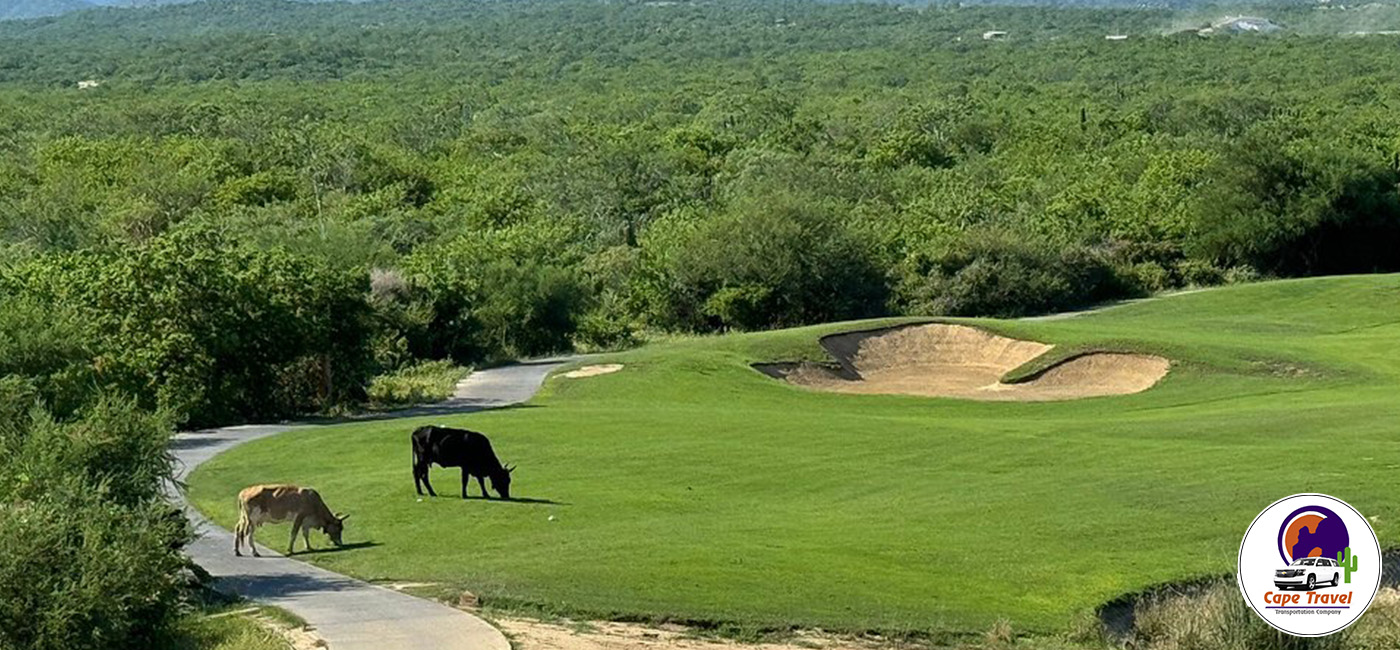 Transportation to Club Campestre San Jose